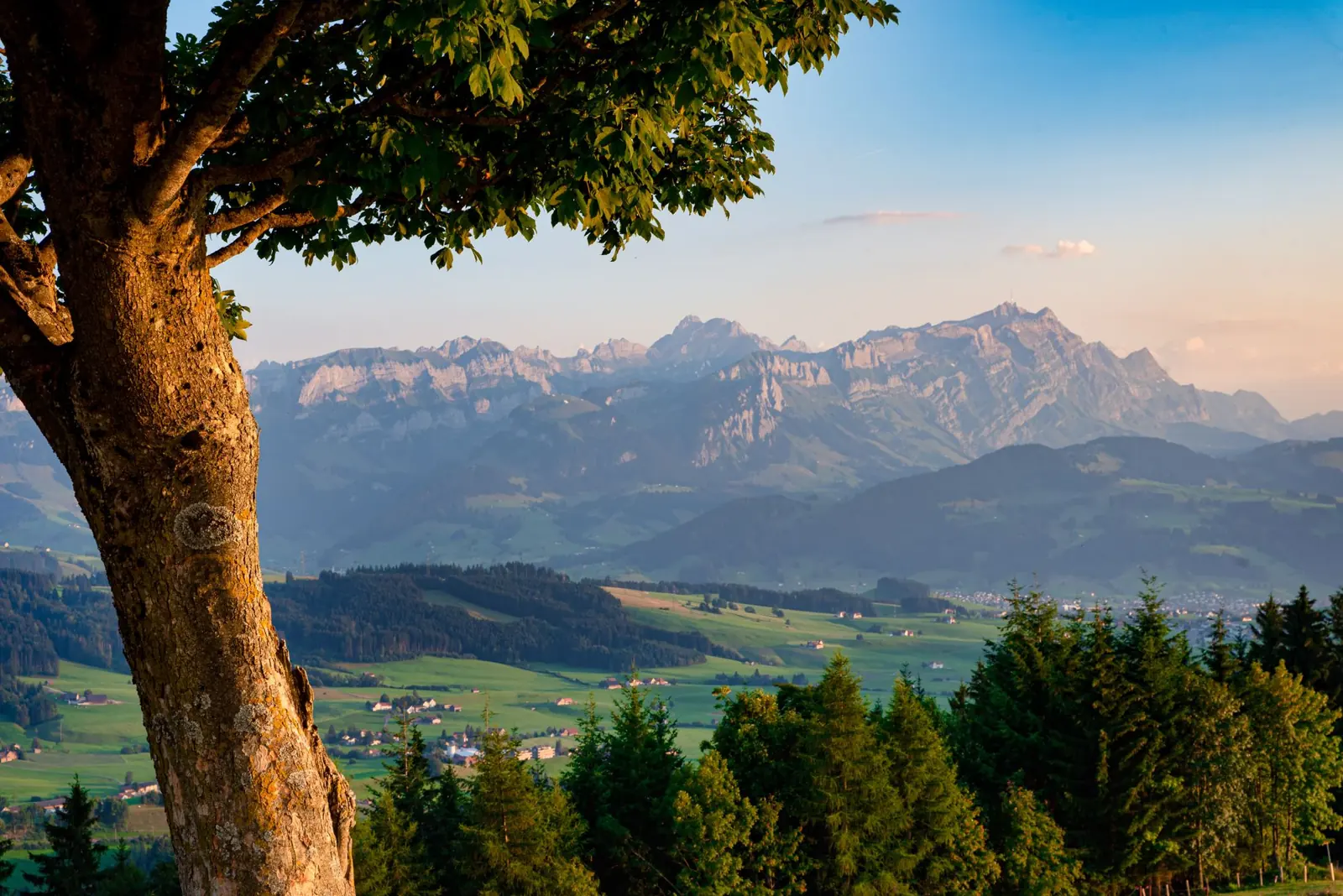 Blick über die Appenzeller Hügel auf den Alpstein im Abendlicht
